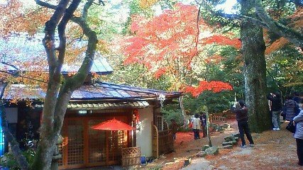 Momijidani Park (紅葉谷公園)