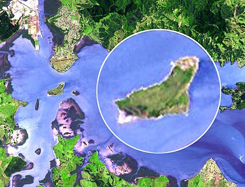 Motu Matakohe / Limestone Island