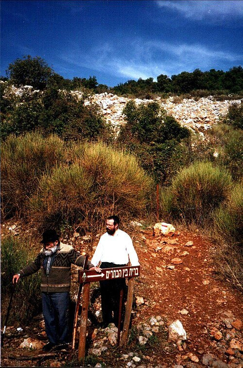 Mount Betarim