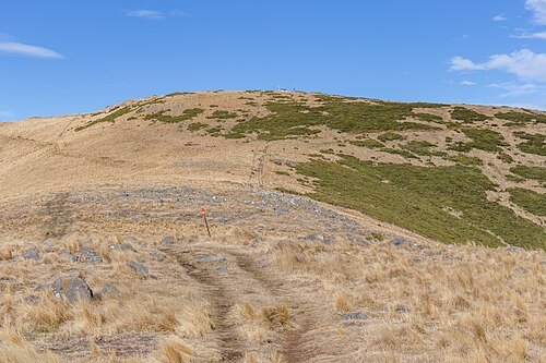 Mount Herbert / Te Ahu Pātiki