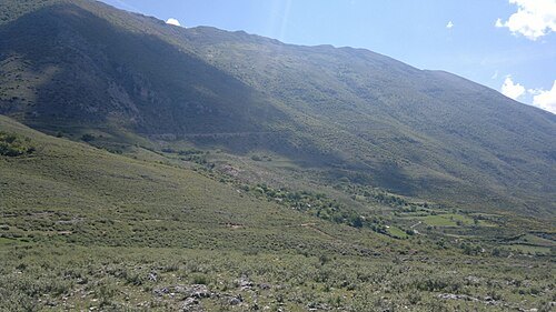 Shëndelli