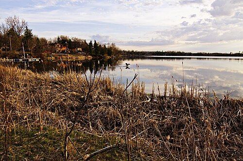 Musselman Lake