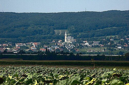 Leitha Mountains