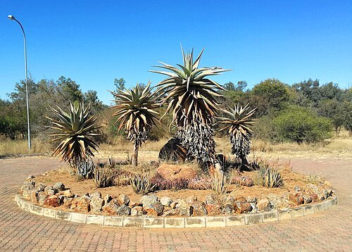 National Botanical Garden