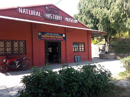 Museo de Historia Natural de Nepal