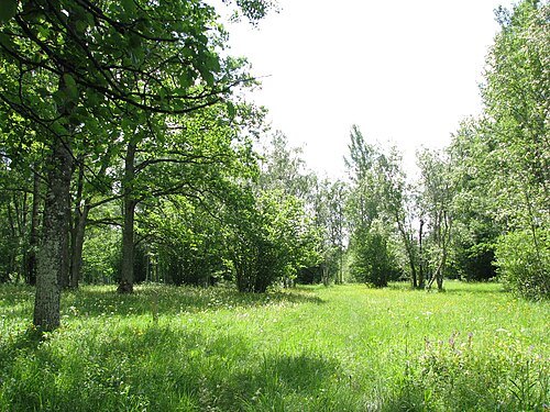 Nedrema Nature Reserve