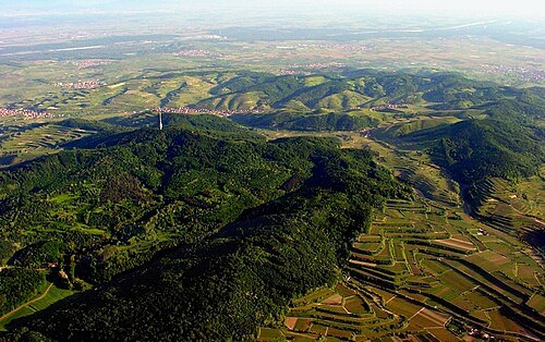 Kaiserstuhl