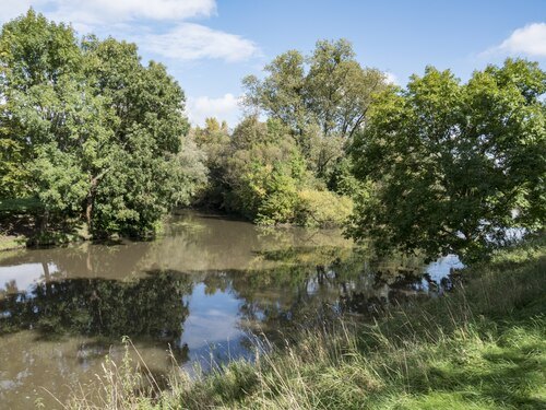 Nidda