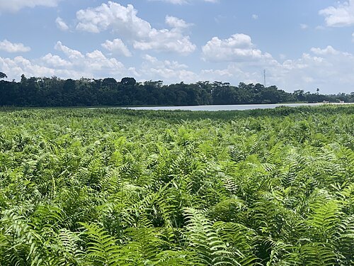 Owabi Wildlife Sanctuary