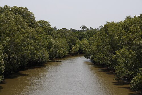 Oxley Creek