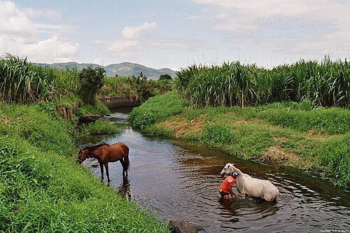 Pacoti River