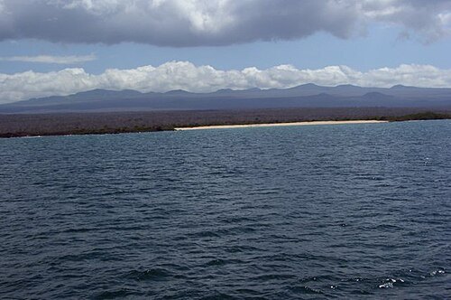Santa Cruz Island