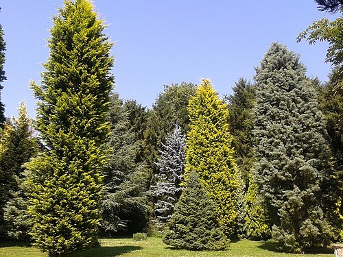 Parc Arboretum du Manoir aux Loups