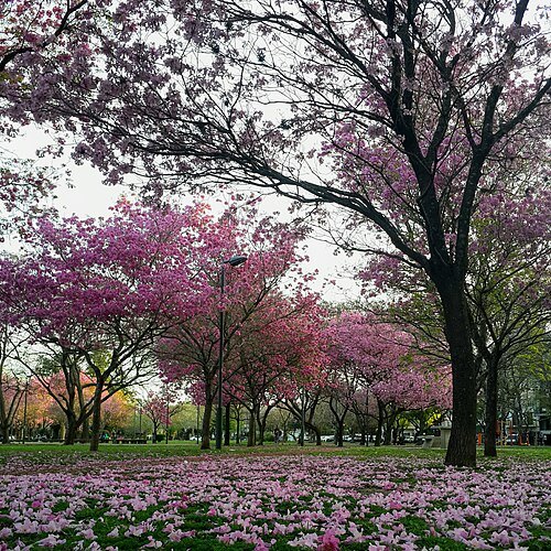 Parque Urquiza