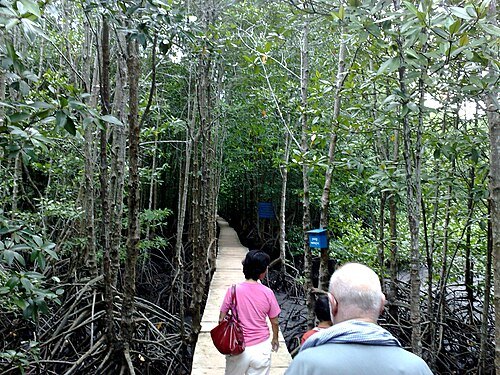 Peam Krasop Wildlife Sanctuary