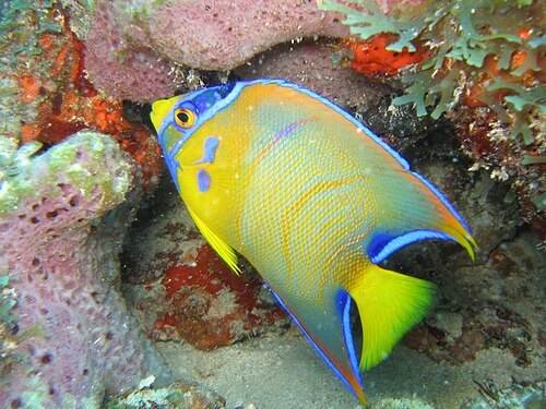 Pedra da Risca do Meio State Marine Park