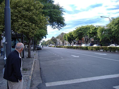 Pellegrini Avenue