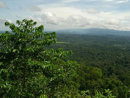 Peradayan Forest Recreation Park