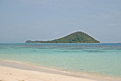 Petit Saint Vincent