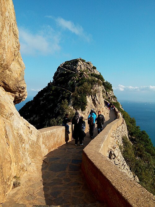 Monkeys Peak