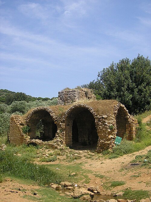 Naẖal Ẕalmon