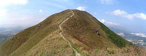 Tai To Yan