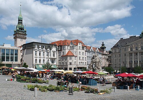 Zelný trh