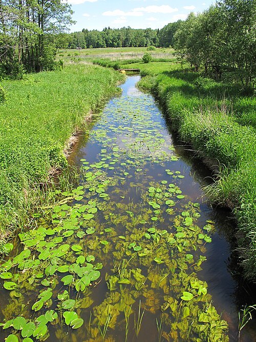 Płoska