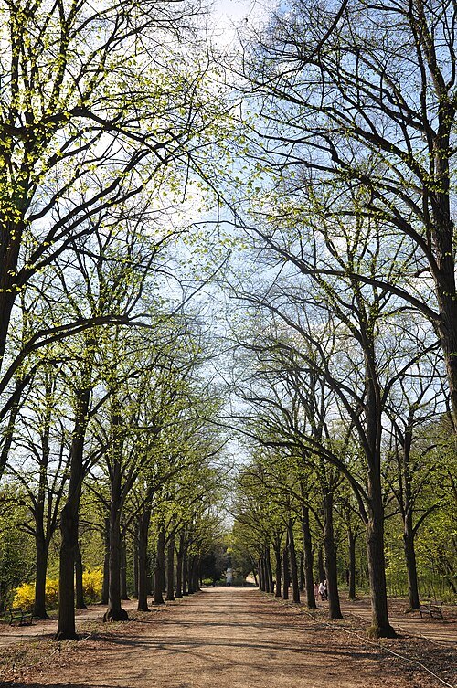 Queen Elisabeth Park, Gödöllő