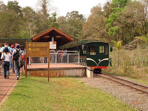 Tren Ecológico de la Selva