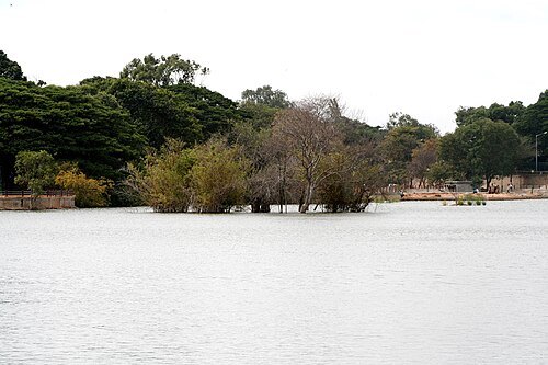 Sankey tank