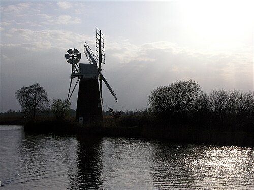 River Ant