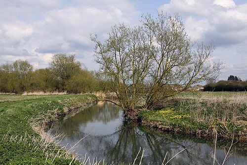 River Ock