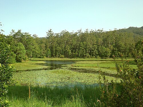 Tallebudgera Creek Dam