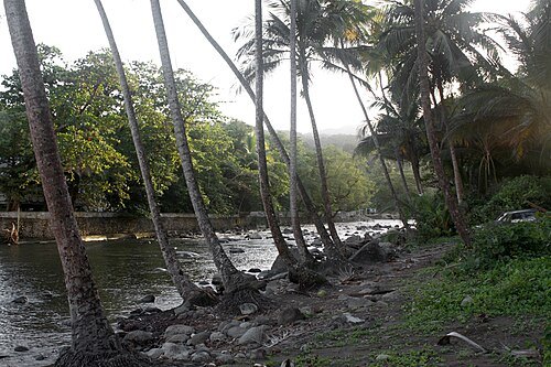 Rosalie River
