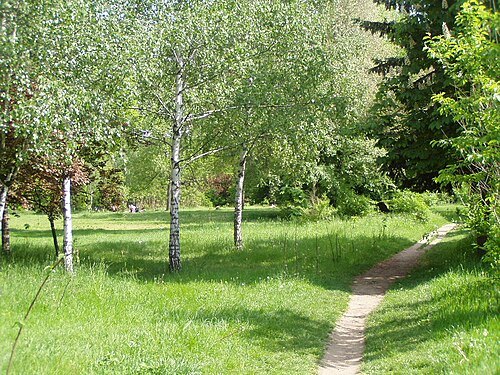 Rose Valley, Chișinău