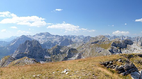 Maja e Rosit