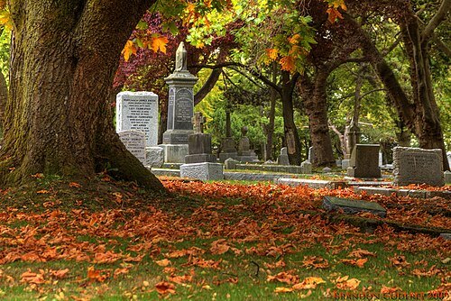 Ross Bay Cemetery