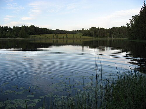 Valgjärv