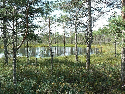Rubina Nature Reserve