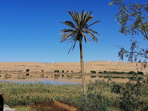 Saguia el-Hamra