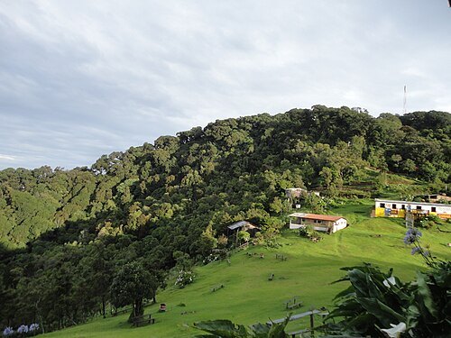 Cerro El Pital