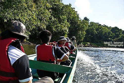 Sungai Temburong