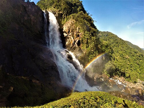 Serra do Mar State Park