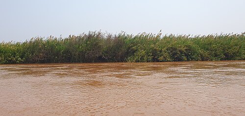 魯濟濟河