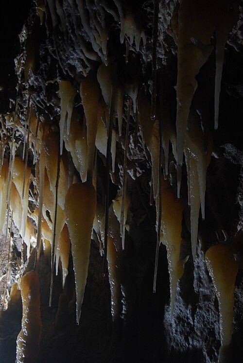 Shannon Cave