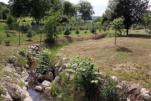 Tauscherbach