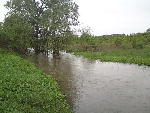 Strumień Godowski