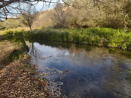 Yahorlyk River