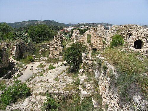 Suba